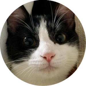 最強ツンデレ女子 あなたの白黒さん 白黒さんいらっしゃい